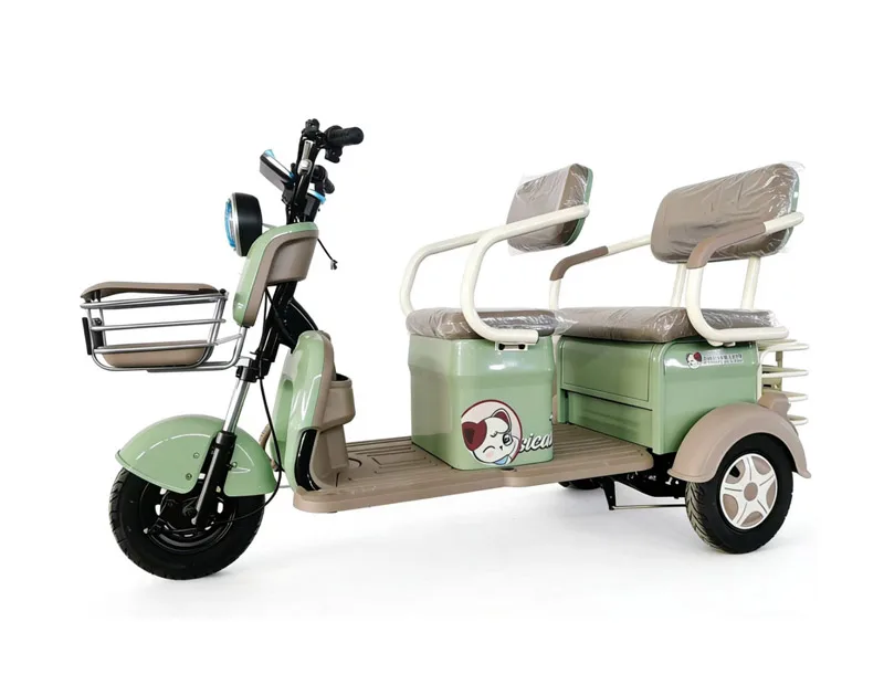 Electric Cargo Tricycle