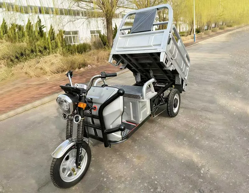 NF01 BTM Zhanqi (1.3m) Heavy-Duty Electric Cargo Tricycle - Image 2