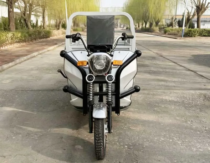 NF01 BTM Zhanqi (1.3m) Heavy-Duty Electric Cargo Tricycle - Image 3