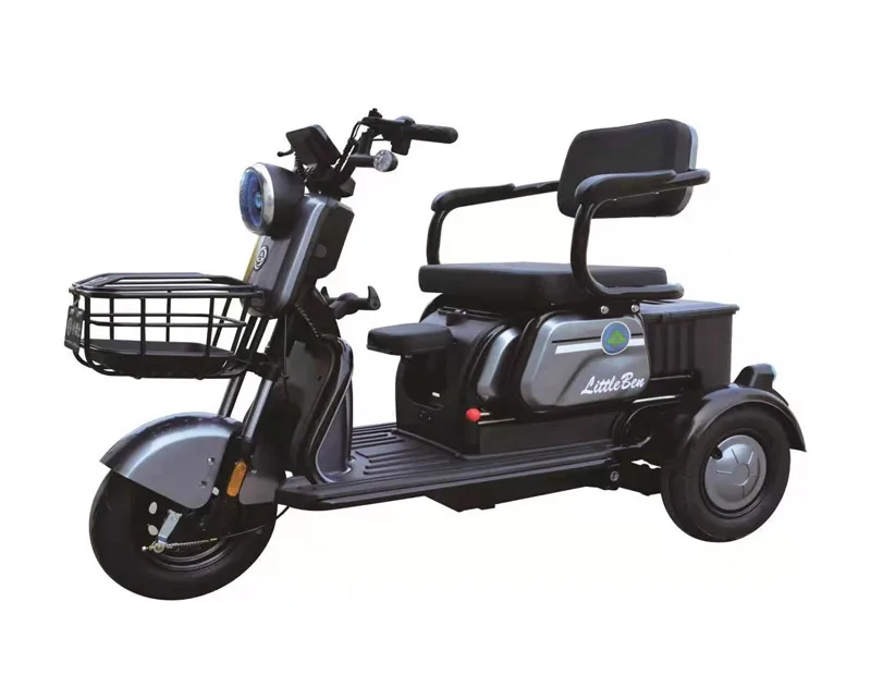 Senior Citizen Leisure Electric Tricycle NF3-02 BTMX3 - Image 3