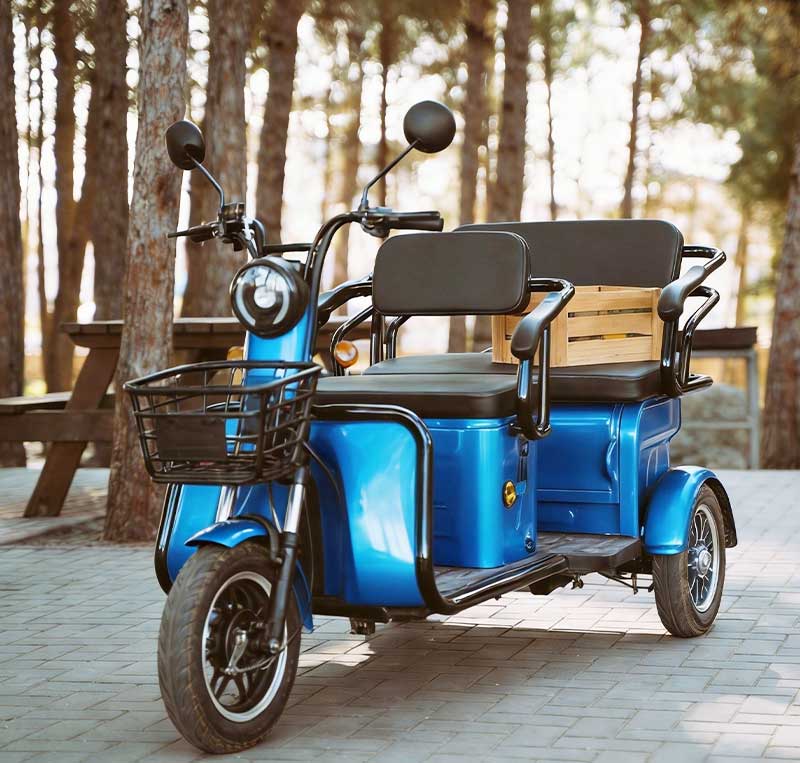 electric assist tricycle