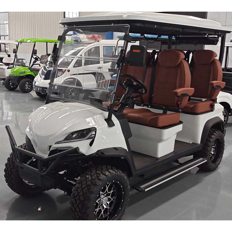 Electric Golf Cart