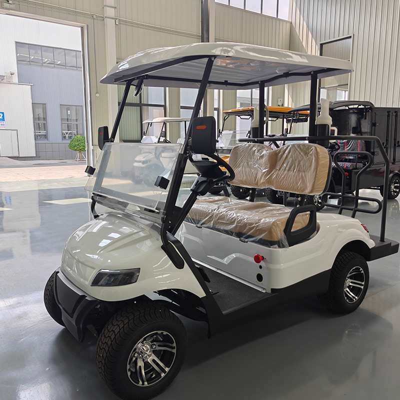 Electric Golf Cart